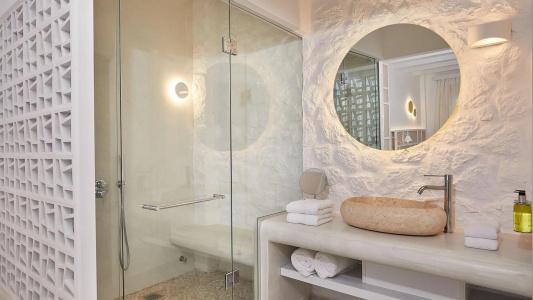 Petri Suites - 8