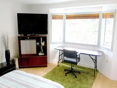 Lush & Co Auckland Bed & Breakfast - 33