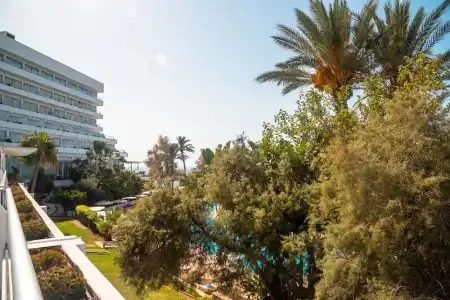 Grecian Sands - 296