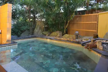 Fujiya Ryokan - 18