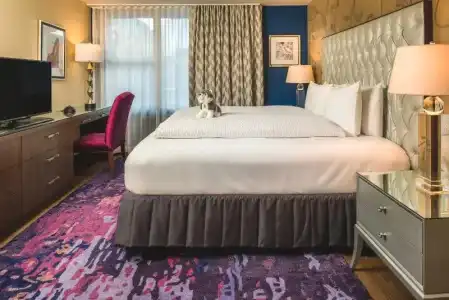 Staypineapple, Rose, Downtown Portland - 129