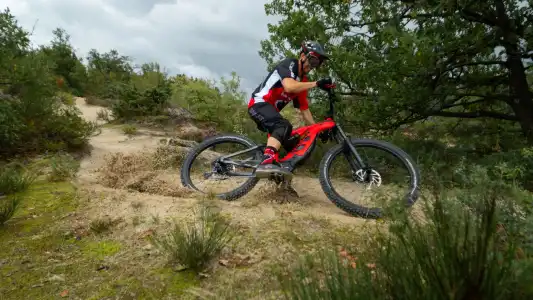 Bellerive Lifestyle - 28