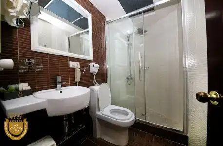Borjomi Palace Health & Spa Center - 49