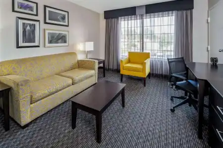 La Quinta Inn & Suites by Wyndham Anaheim - 29
