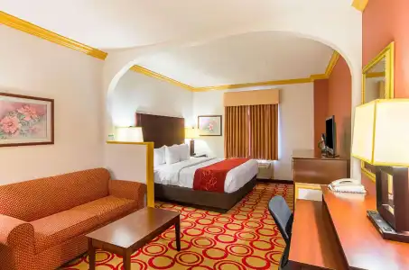 Quality Suites Lubbock Southwest - 43