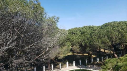 Marea Resort - 12