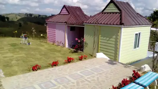 Lovely Farm - 11