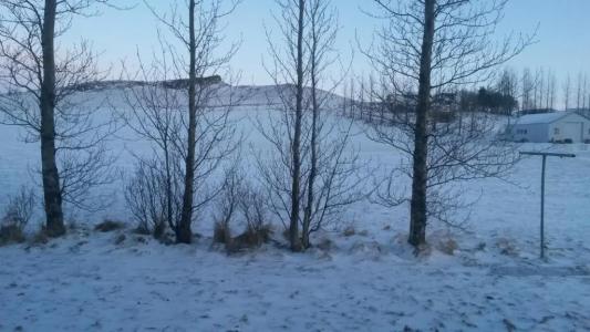 Skyggnir Bed and Breakfast - 8