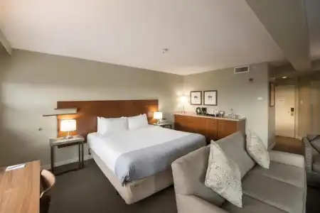 The Juniper - 81