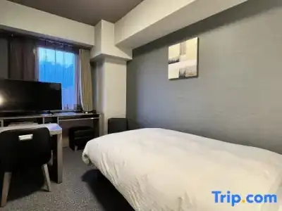 Route Inn Nagaoka Ekimae - 45