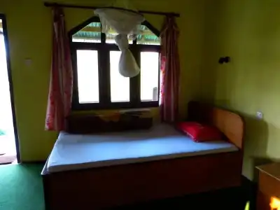 Nature Safari Resort - 4
