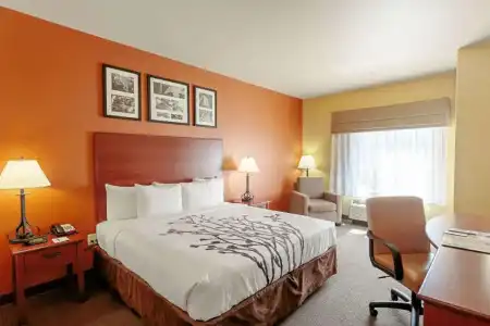 Sleep Inn & Suites Tyler South - 53