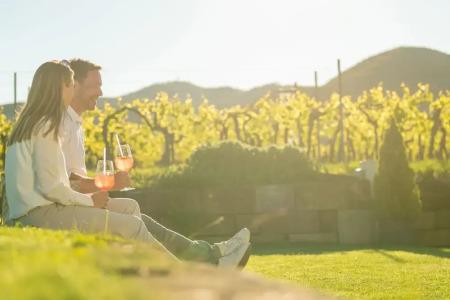 PANORAMA in Neustadt an der Weinstraße - 20