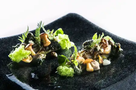 Chapeau Rouge PAR William Frachot - Hôtel Espace Bien-être & Restaurant étoilé - 10