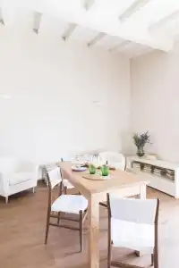 Agave in città - 24