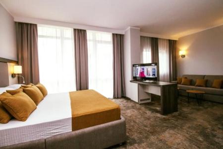 Best Western Plus Premium Inn - 66