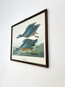 Piccolo Etruria - 54