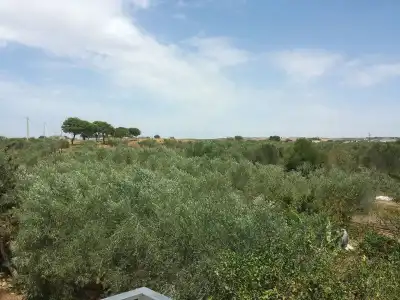 Baglio il Giovinetto - 12