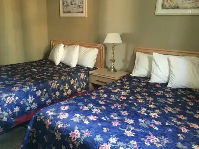 Niagara Falls Courtside Inn - 2