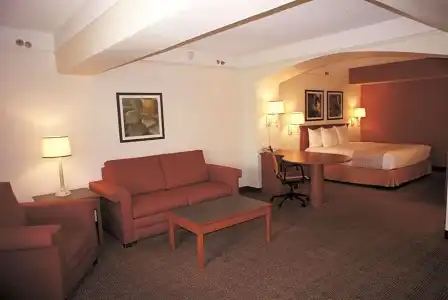 La Quinta Inn by Wyndham Austin Capitol / Downtown - 58