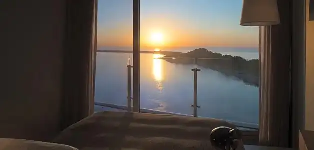 Nest, a Member of Designs - 110