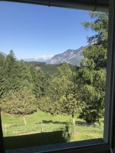 LandGasthof Eichhof - 27
