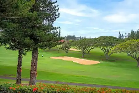Kapalua Villas Maui - 196