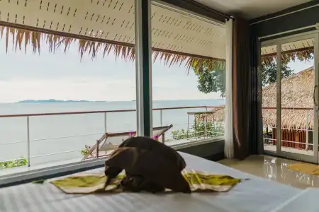 Uza Beach Resort - 240