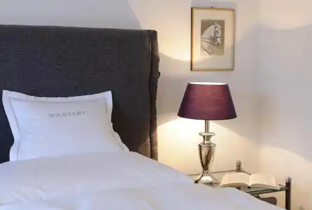 Boutique Relais Chalet Wilhelmy - 3