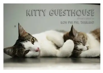 Kitty Guesthouse - 23