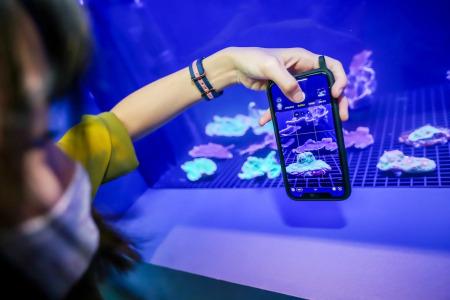 Resorts World Sentosa - Equarius Villas - 11