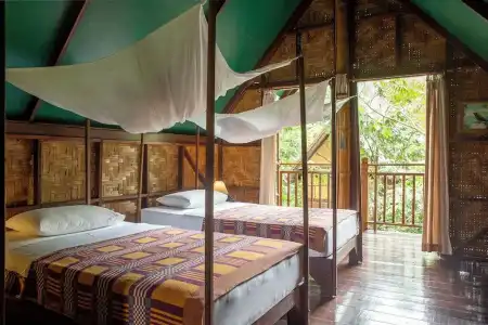 Our Jungle Camp - Eco Resort - 45
