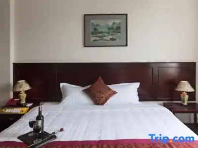 Hanoi Bonsella - 73