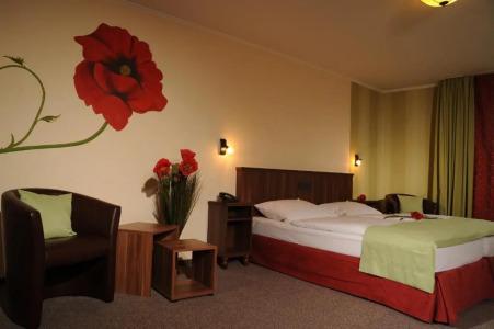 Mosel& Restaurant Zur Traube Gmbh - 29