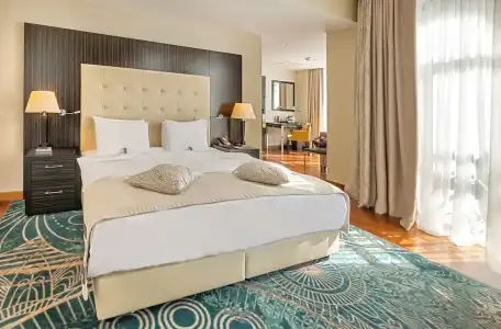 Crowne Plaza Borjomi - 49