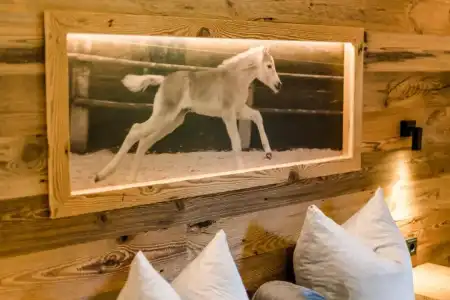 Beim Hochfilzer - 56