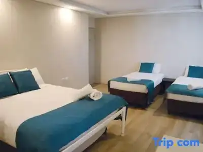 Marco Polo Motor Inn Sydney - 119