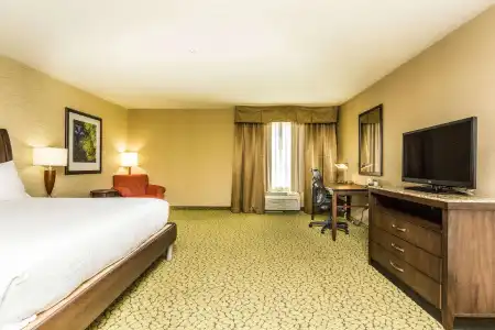 Hilton Garden Inn St. George - 65