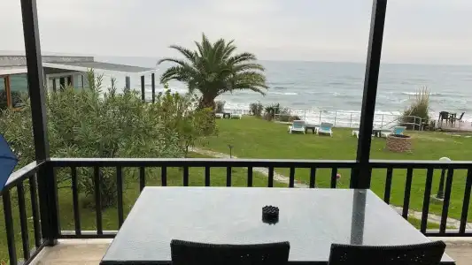 Palm Beach Şi̇le - 23