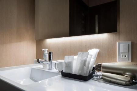 Randor Residence Hiroshima Suites - 49