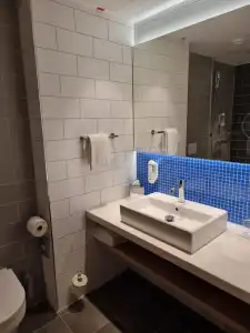 Holiday Inn Express Wiesbaden by IHG - 4