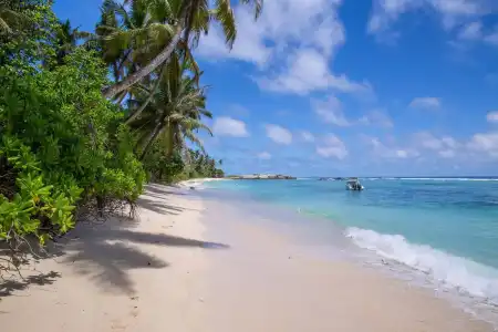 Chalets d'Anse Forbans SelfCatering - 12