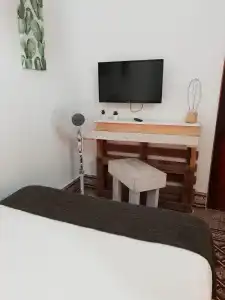 Cactus Host - 12