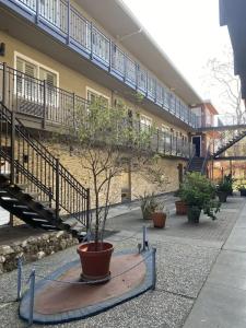 Convention Center Inn & Suites - 13