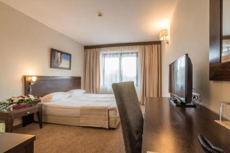 Lion Borovets - 41