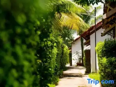 Maison du Vietnam Resort & Spa - 145