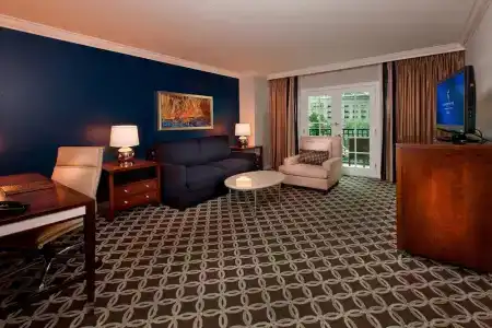Gaylord Palms Resort & Convention Center - 41