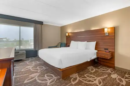 Comfort Inn Anaheim Resort - 42