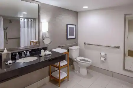 DoubleTree by Hilton Houston - Greenway Plaza - 10