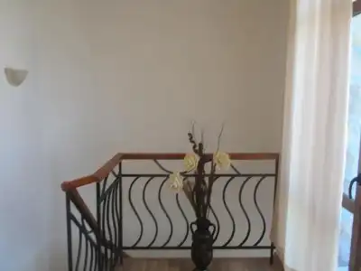 Toro Negro - 4